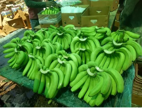 screenshot 2025 10 02 004942